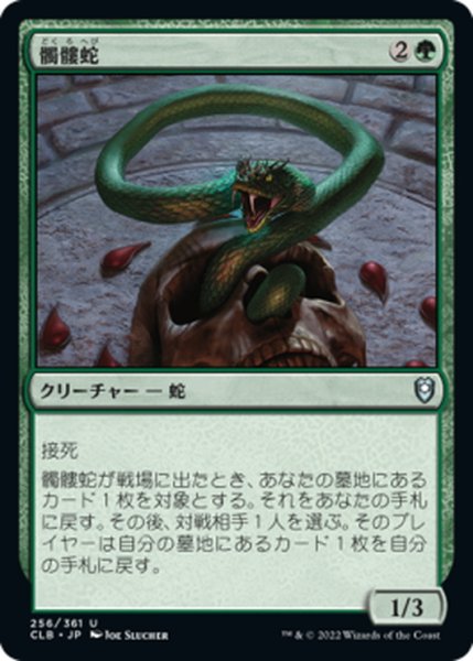 画像1: 【JPN】髑髏蛇/Skullwinder[MTG_CLB_256U] (1)