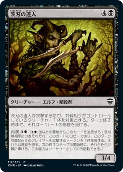 画像1: 【JPN】茨刃の達人/Briarblade Adept[MTG_CMR_111C] (1)