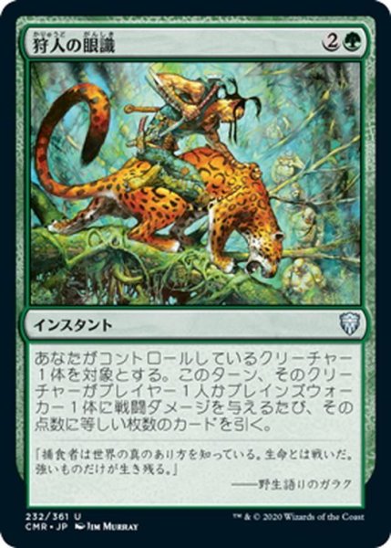 画像1: 【JPN】狩人の眼識/Hunter's Insight[MTG_CMR_232U] (1)