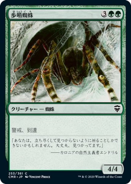 画像1: 【JPN】歩哨蜘蛛/Sentinel Spider[MTG_CMR_253C] (1)