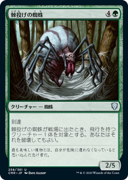 画像1: 【JPN】棘投げの蜘蛛/Stingerfling Spider[MTG_CMR_258U] (1)