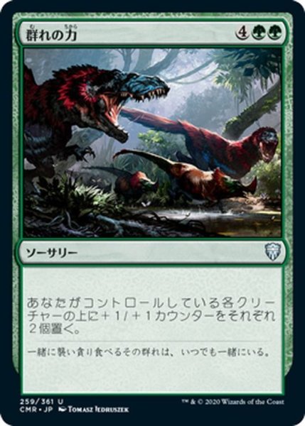 画像1: 【JPN】群れの力/Strength of the Pack[MTG_CMR_259U] (1)