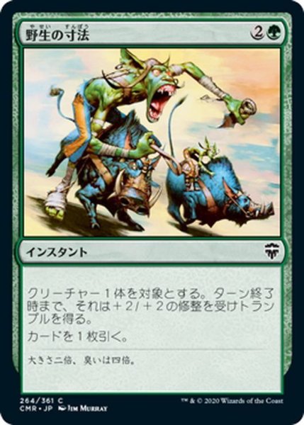 画像1: 【JPN】野生の寸法/Wildsize[MTG_CMR_264C] (1)