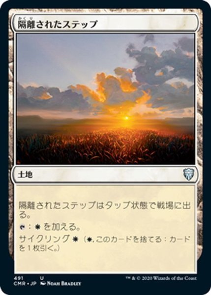 画像1: 【JPN】隔離されたステップ/Secluded Steppe[MTG_CMR_491U] (1)