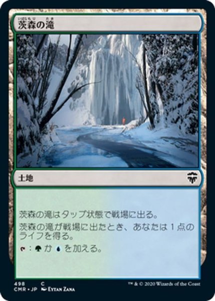 画像1: 【JPN】茨森の滝/Thornwood Falls[MTG_CMR_498C] (1)