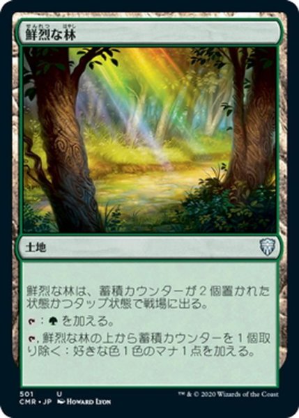 画像1: 【JPN】鮮烈な林/Vivid Grove[MTG_CMR_501U] (1)