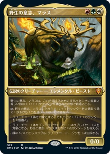 画像1: 【JPN】★Foil★野生の意志、マラス/Marath, Will of the Wild[MTG_CMR_527M] (1)