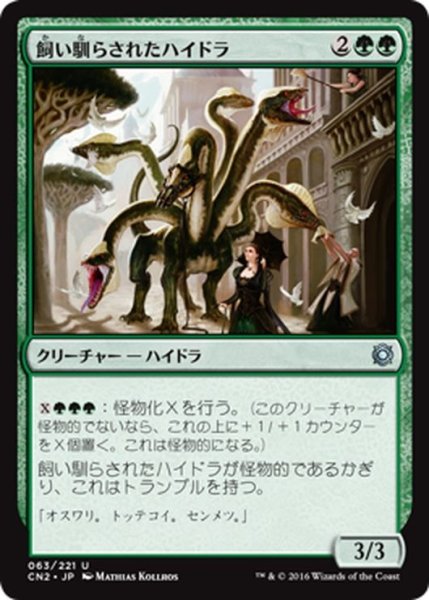 画像1: 【JPN】飼い馴らされたハイドラ/Domesticated Hydra[MTG_CN2_063U] (1)