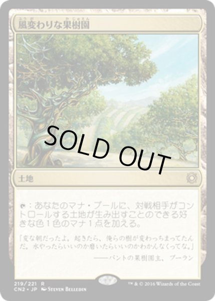 画像1: 【JPN】風変わりな果樹園/Exotic Orchard[MTG_CN2_219R] (1)