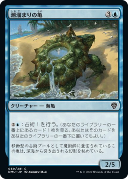 画像1: 【JPN】潮溜まりの亀/Tidepool Turtle[MTG_DMU_069C] (1)