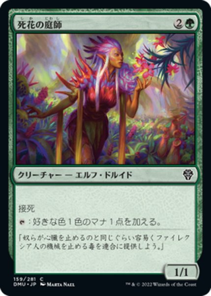 画像1: 【JPN】死花の庭師 /Deathbloom Gardener [MTG_DMU_159C] (1)