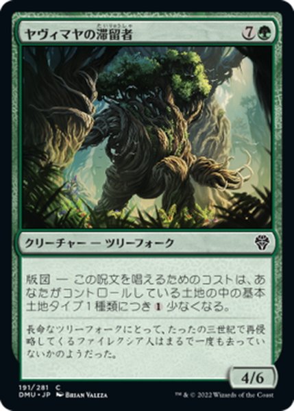 画像1: 【JPN】ヤヴィマヤの滞留者/Yavimaya Sojourner[MTG_DMU_191C] (1)