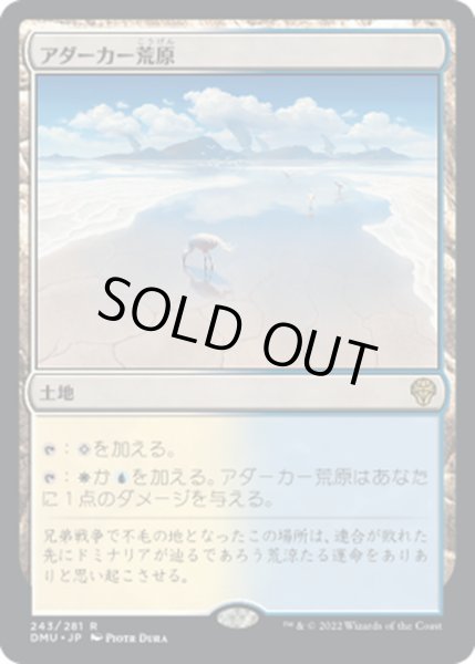 画像1: 【JPN】アダーカー荒原/Adarkar Wastes[MTG_DMU_243R] (1)