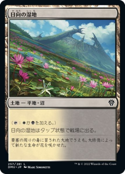 画像1: 【JPN】日向の湿地/Sunlit Marsh[MTG_DMU_257C] (1)