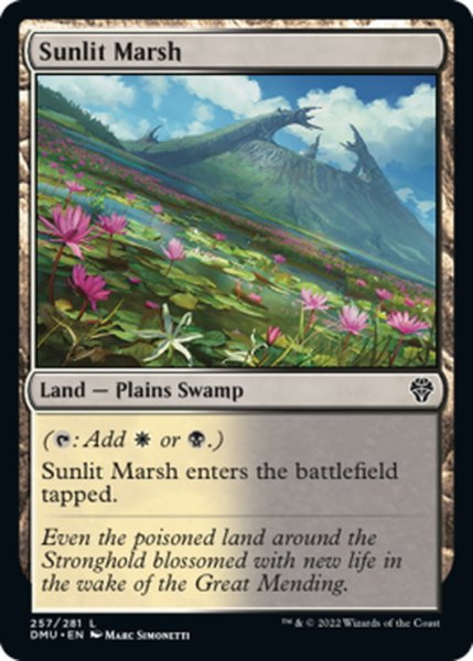 画像1: 【ENG】日向の湿地/Sunlit Marsh[MTG_DMU_257C] (1)