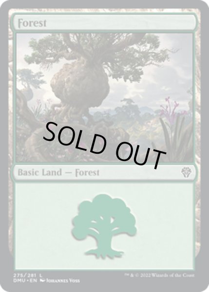 画像1: 【ENG】森/Forest[MTG_DMU_275L] (1)