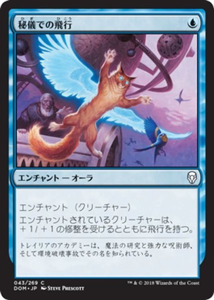 画像1: 【JPN】秘儀での飛行/Arcane Flight[MTG_DOM_043C] (1)