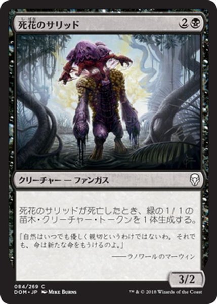 画像1: 【JPN】死花のサリッド/Deathbloom Thallid[MTG_DOM_084C] (1)