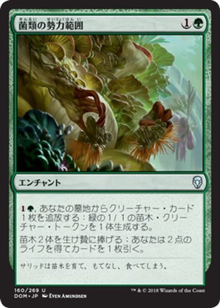 画像1: 【JPN】菌類の勢力範囲/Fungal Plots[MTG_DOM_160U] (1)