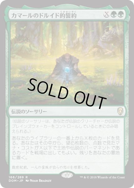 画像1: 【JPN】カマールのドルイド的誓約/Kamahl's Druidic Vow[MTG_DOM_166R] (1)