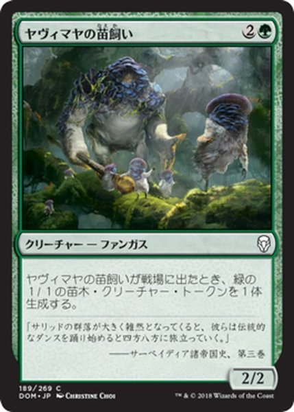 画像1: 【JPN】ヤヴィマヤの苗飼い/Yavimaya Sapherd[MTG_DOM_189C] (1)