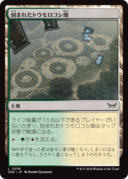 画像1: 【JPN】刻まれたトウモロコシ畑/Etched Cornfield [MTG_DSK_0258_C] (1)