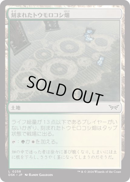 画像1: 【JPN】刻まれたトウモロコシ畑/Etched Cornfield [MTG_DSK_0258_C] (1)