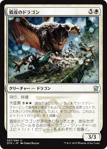 画像1: 【JPN】盾皮のドラゴン/Shieldhide Dragon[MTG_DTK_037U] (1)