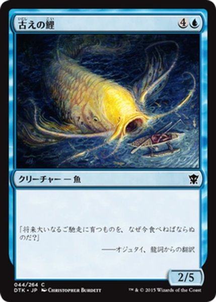 画像1: 【JPN】古えの鯉/Ancient Carp[MTG_DTK_044C] (1)