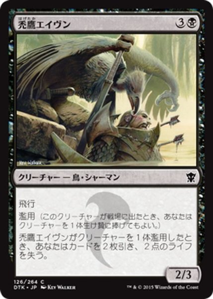 画像1: 【JPN】禿鷹エイヴン/Vulturous Aven[MTG_DTK_126C] (1)