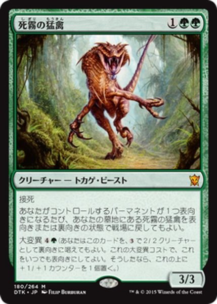 画像1: 【JPN】死霧の猛禽/Deathmist Raptor[MTG_DTK_180M] (1)