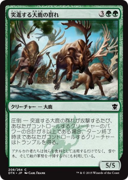 画像1: 【JPN】突進する大鹿の群れ/Stampeding Elk Herd[MTG_DTK_208C] (1)