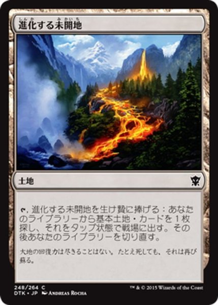 画像1: 【JPN】進化する未開地/Evolving Wilds[MTG_DTK_248C] (1)