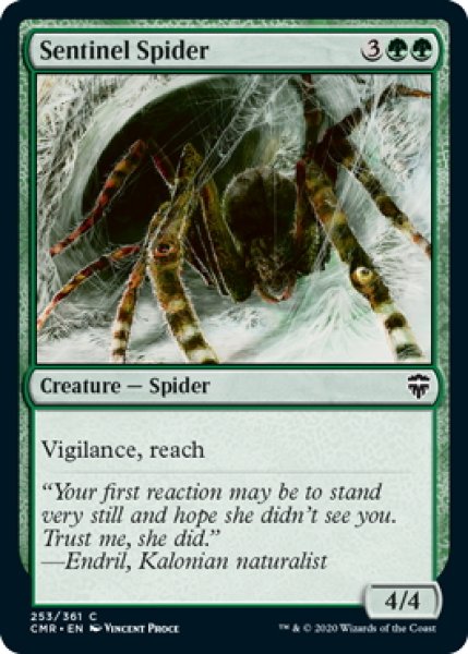 画像1: 【ENG】歩哨蜘蛛/Sentinel Spider[MTG_CMR_253C] (1)