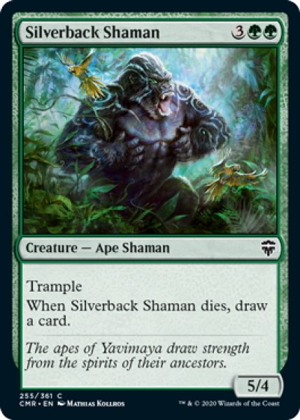 画像1: 【ENG】シルバーバックの巫師/Silverback Shaman[MTG_CMR_255C] (1)