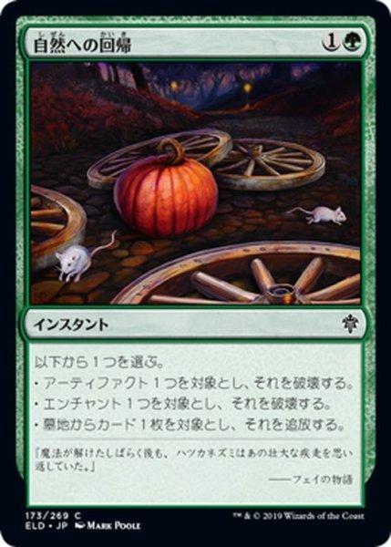 画像1: 【JPN】自然への回帰/Return to Nature[MTG_ELD_173C] (1)