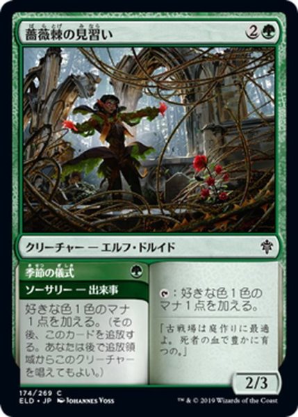 画像1: 【JPN】薔薇棘の見習い/Rosethorn Acolyte[MTG_ELD_174C] (1)