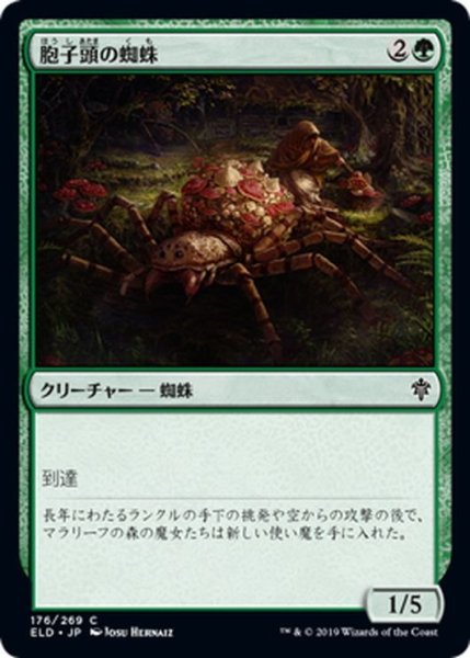 画像1: 【JPN】胞子頭の蜘蛛/Sporecap Spider[MTG_ELD_176C] (1)