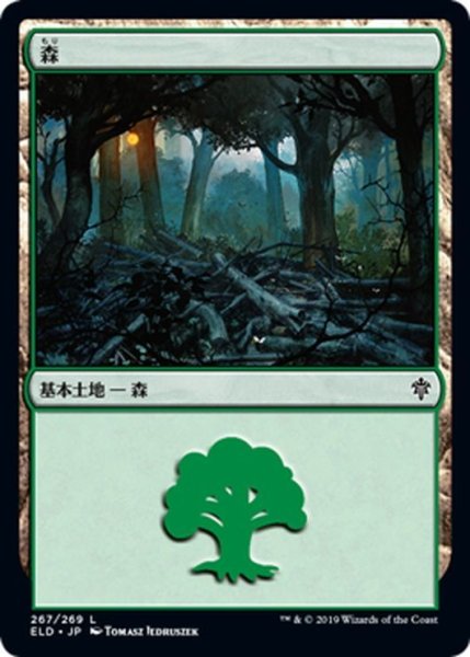 画像1: 【JPN】森/Forest[MTG_ELD_267L] (1)