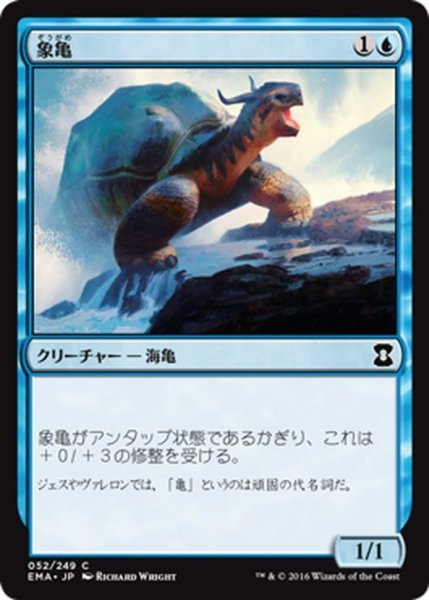 画像1: 【JPN】象亀/Giant Tortoise[MTG_EMA_052C] (1)