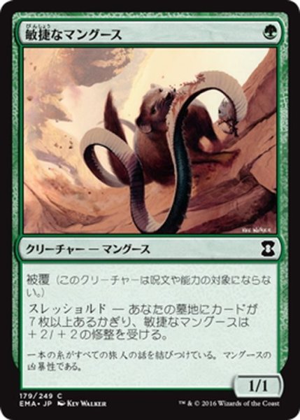 画像1: 【JPN】敏捷なマングース/Nimble Mongoose[MTG_EMA_179C] (1)