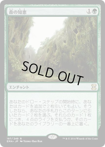 画像1: 【JPN】森の知恵/Sylvan Library[MTG_EMA_187R] (1)