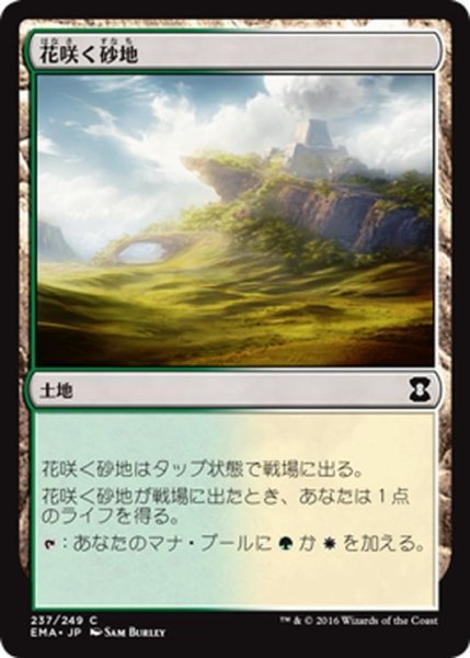 画像1: 【JPN】花咲く砂地/Blossoming Sands[MTG_EMA_237C] (1)