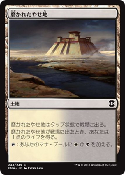 画像1: 【JPN】磨かれたやせ地/Scoured Barrens[MTG_EMA_244C] (1)