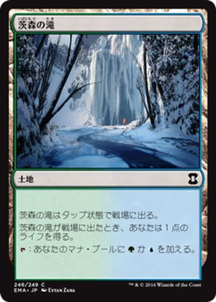 画像1: 【JPN】茨森の滝/Thornwood Falls[MTG_EMA_246C] (1)