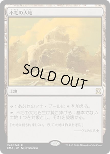 画像1: 【JPN】不毛の大地/Wasteland[MTG_EMA_248R] (1)