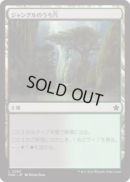 画像1: 【JPN】ジャングルのうろ穴/Jungle Hollow [MTG_FDN_0263_C] (1)