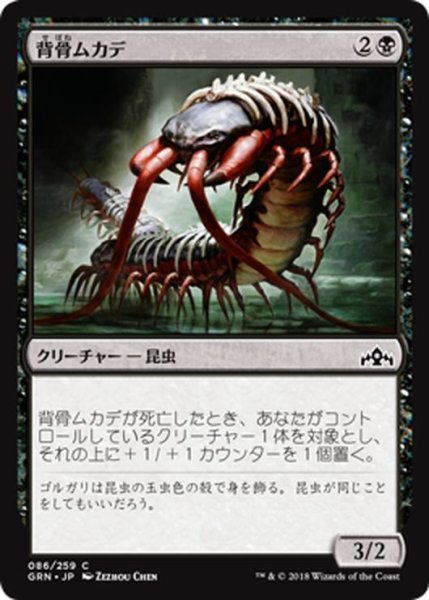 画像1: 【JPN】背骨ムカデ/Spinal Centipede[MTG_GRN_086C] (1)