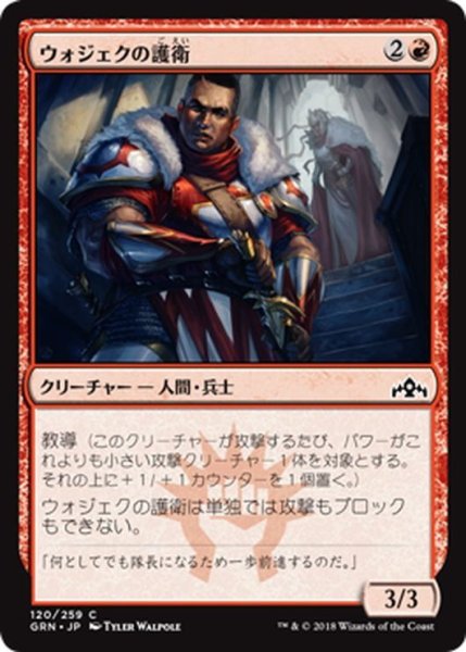 画像1: 【JPN】ウォジェクの護衛/Wojek Bodyguard[MTG_GRN_120C] (1)