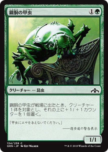 画像1: 【JPN】鋼胴の甲虫/Ironshell Beetle[MTG_GRN_134C] (1)